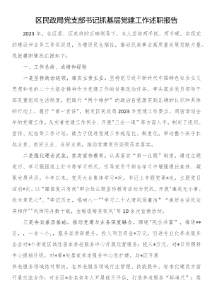 区民政局党支部书记抓基层党建工作述职报告.docx