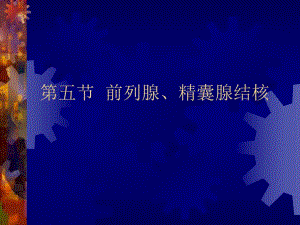 前列腺、精囊腺结核.ppt