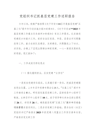 党组织书记抓基层党建工作述职报告.docx