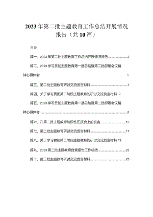 2023年第二批专题工作总结开展情况报告10篇供参考.docx