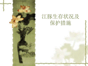 江豚生存现状及保护.ppt