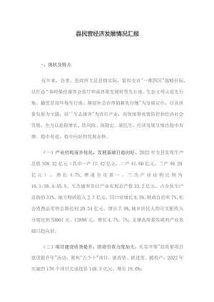 县民营经济发展情况汇报.docx