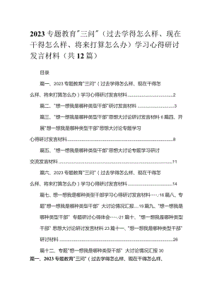 专题教育“三问”（过去学得怎么样、现在干得怎么样、将来打算怎么办）学习心得研讨发言材料最新精选版【12篇】.docx