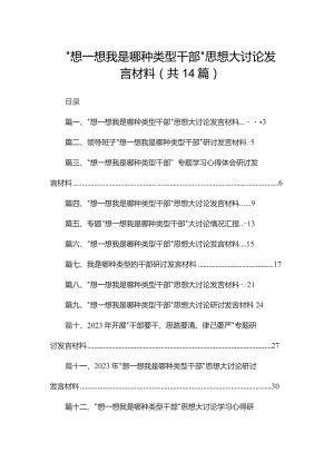“想一想我是哪种类型干部”思想大讨论发言材料（共14篇）汇编.docx