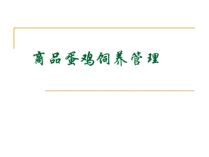 蛋鸡饲养管理及疾病防治.ppt