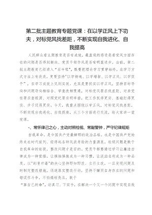 第二批主题教育专题党课：在以学正风上下功夫对标党风找差距不断实现自我进化、自我提高.docx