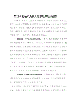 某县水利站所负责人述职述廉述法报告.docx