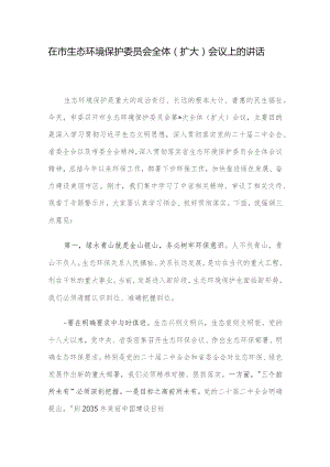 在市生态环境保护委员会全体（扩大）会议上的讲话.docx