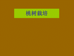 5--桃栽培技术.ppt