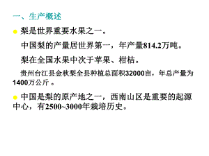 梨子栽培技术.ppt