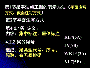 梁的平法施工图.ppt