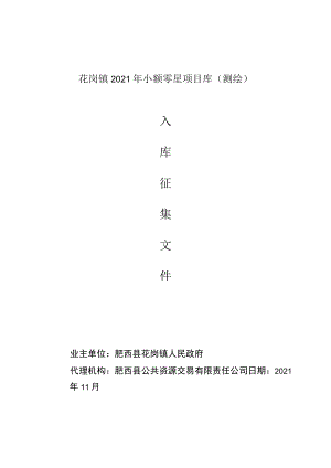 花岗镇2021年小额零星项目库测绘.docx