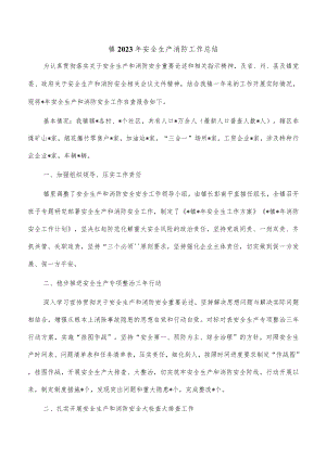 镇2023年安全生产消防工作总结.docx