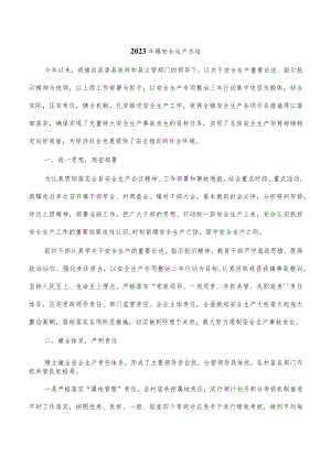 2023年镇安全生产总结.docx