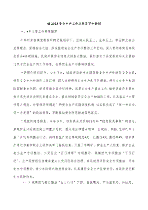 镇2023安全生产工作总结及下步计划.docx