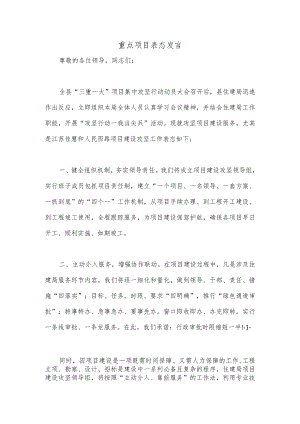 重点项目表态发言.docx