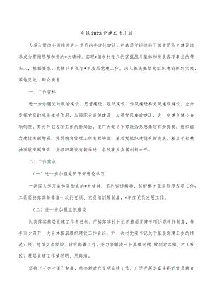 乡镇2023党建工作计划.docx