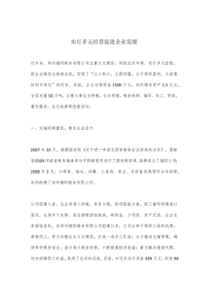 实行多元经营促进企业发展.docx