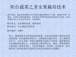 圣女果的栽培技术.ppt