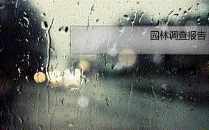 园林调查报告兰亭.ppt