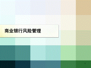 商业银行风险管理0201.ppt