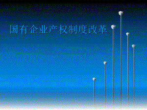 国有企业产权制度.ppt