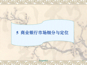 商业银行市场细分与定位.ppt