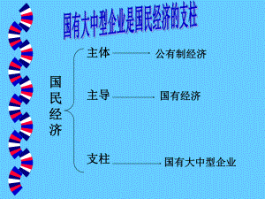 国有大中型企业.ppt