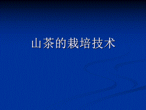 山茶的栽培技术.ppt