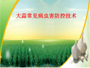 大蒜病虫害防控.ppt