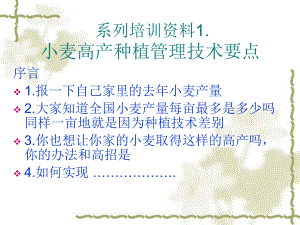 小麦高产栽培技术.ppt