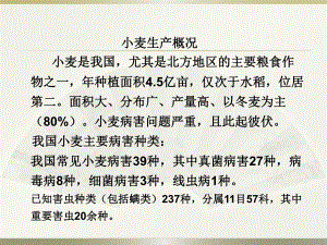 小麦主要病虫害(精).ppt