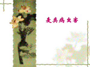 小麦病虫害防治技术.ppt