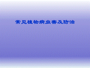 常见植物病虫害及其防治.ppt