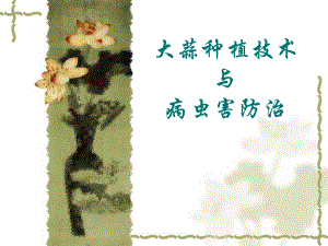 大蒜种植技术及病虫害防治.ppt
