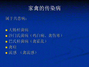 家禽的传染病.ppt
