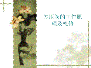 差压阀的工作原理.ppt