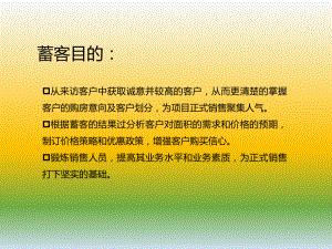 房地产蓄客策略.ppt