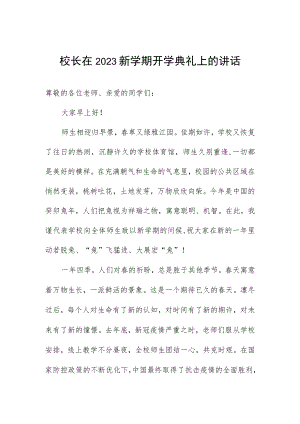 校长在2023新学期开学典礼上的讲话.docx