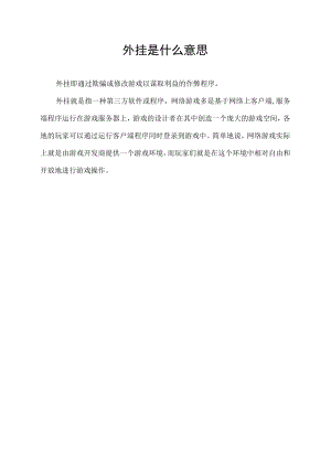 外挂是什么意思.docx