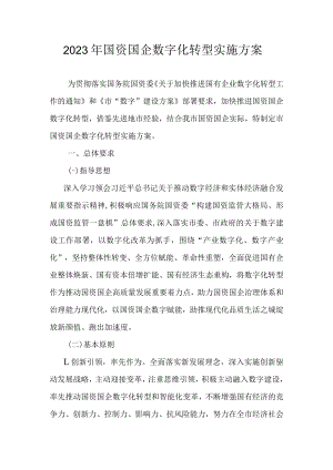 2023年国资国企数字化转型实施方案.docx