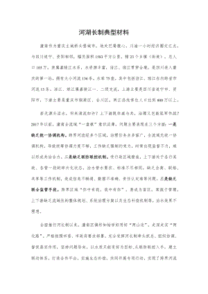 河湖长制典型材料.docx