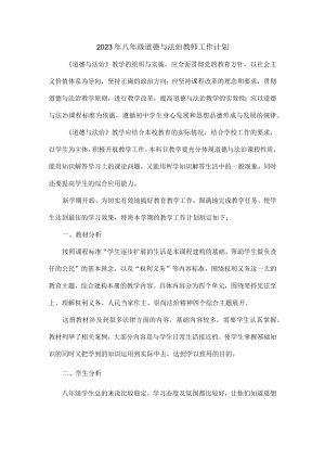 2023年八年级道德与法治教师工作计划.docx