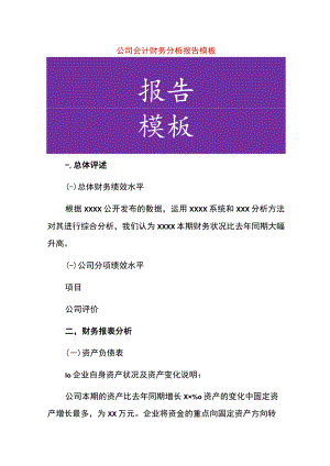 公司会计财务分析报告模板.docx