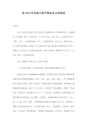 在2023年全县三级干部会议上的讲话.docx