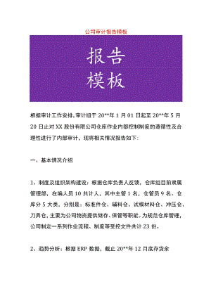 公司审计报告模板.docx