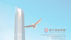 恒大集团财务分析报告.ppt