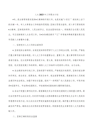 人大2023年工作要点计划.docx