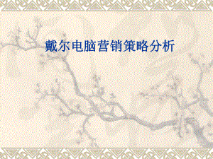 戴尔市场营销分析.ppt