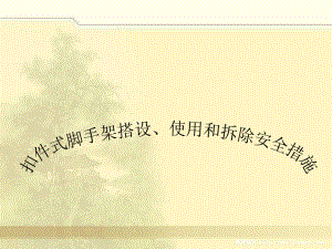 建筑施工安全(脚手架).ppt
